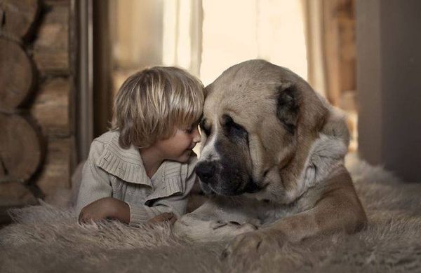 Nagy kutya nagy szív