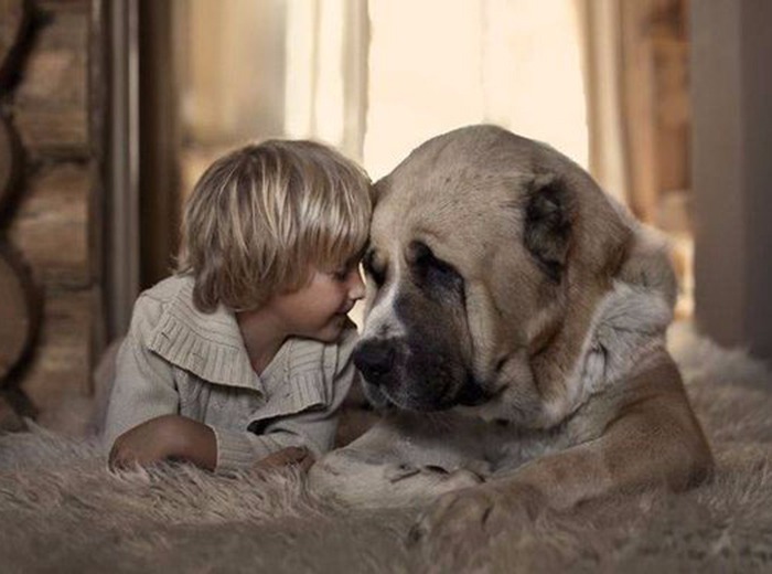 Nagy kutya, nagy szív!